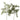 ceder gren Deluxe Homeart 3