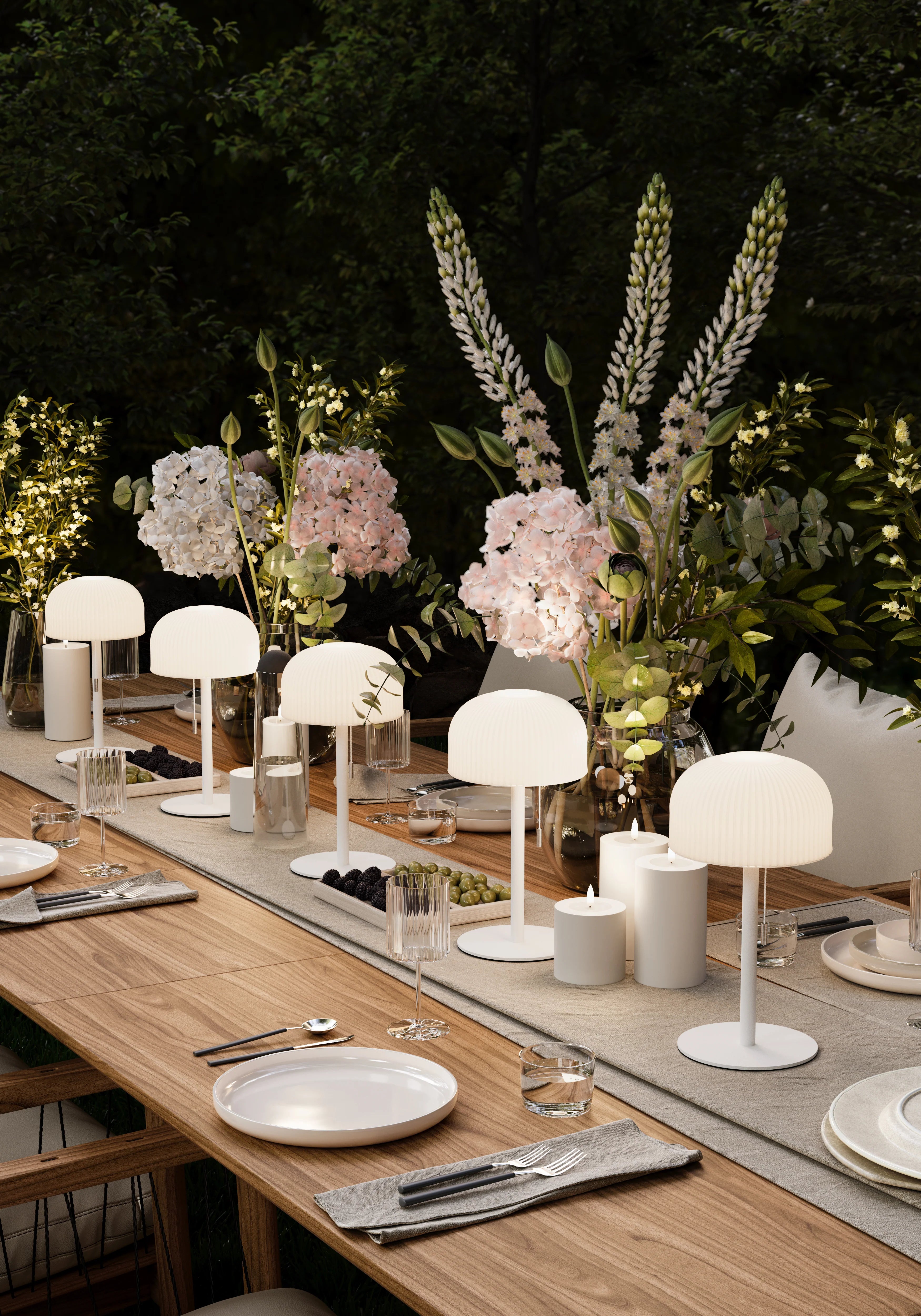 collection-banner-image